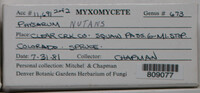 Image Associated With the Occurence